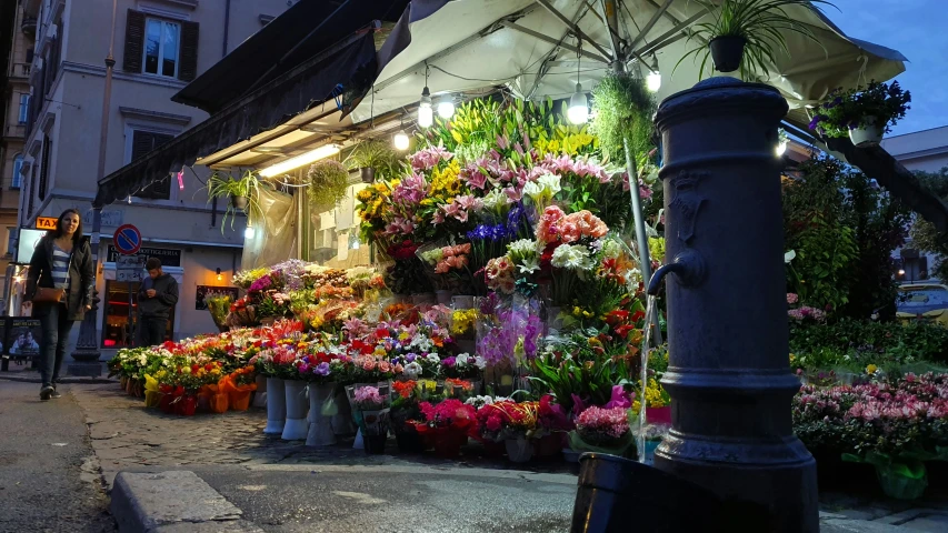 a lot of flowers that are outside of a store