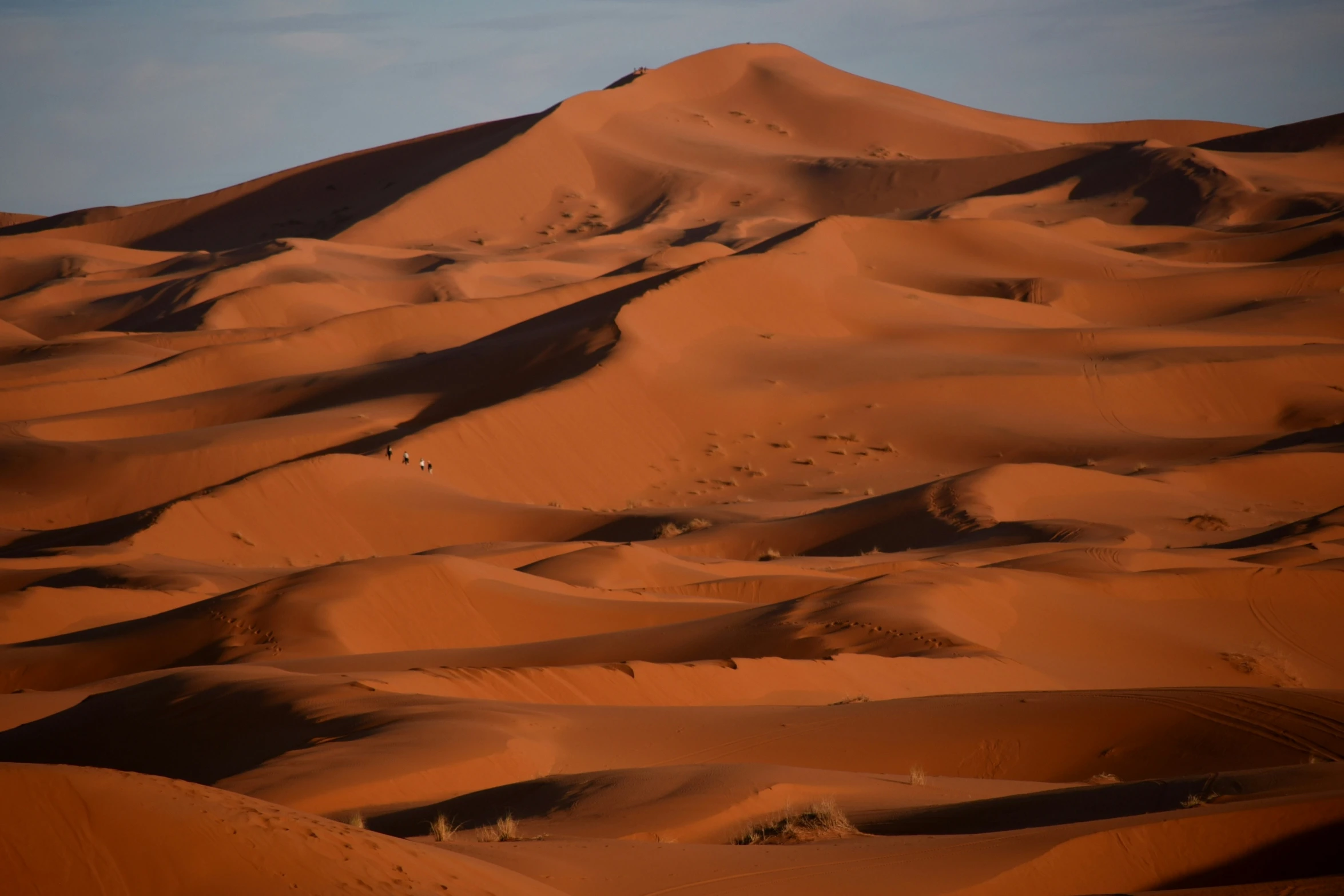 the sand dunes are brown in color