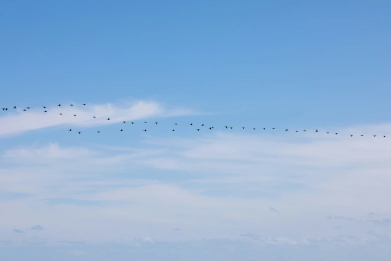 birds flying in the sky above the ocean