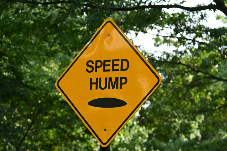 an image of a sign warning of speed bump