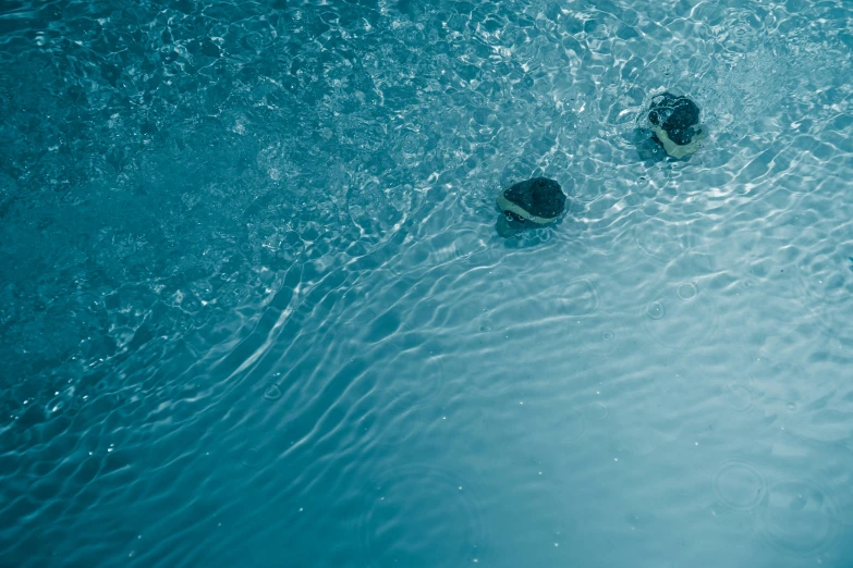 a pair of men swimming in the blue water