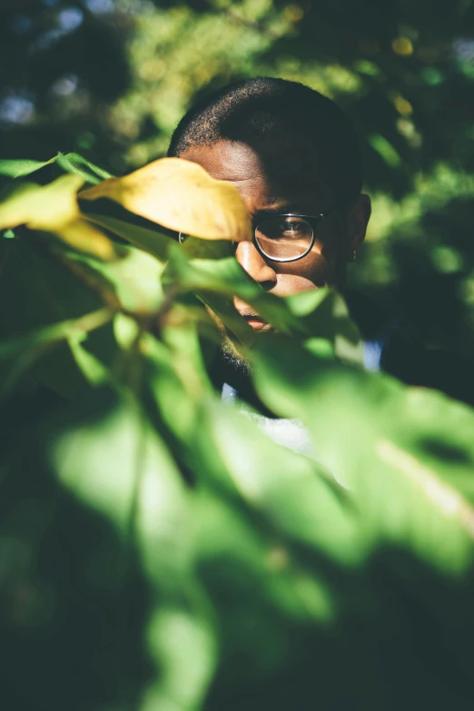 a man wearing glasses is peeking through a leafy tree