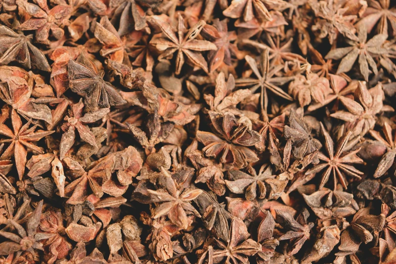 an up close po of a background made of dried herbs