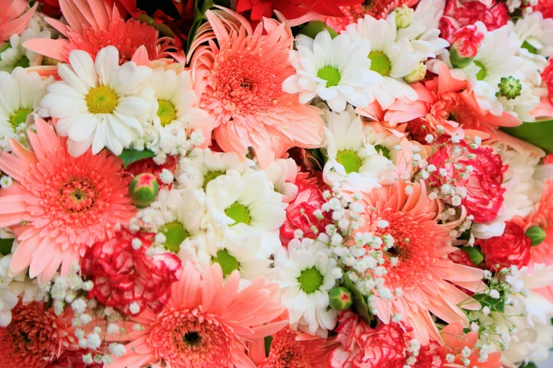 some pink flowers are stacked together in the center