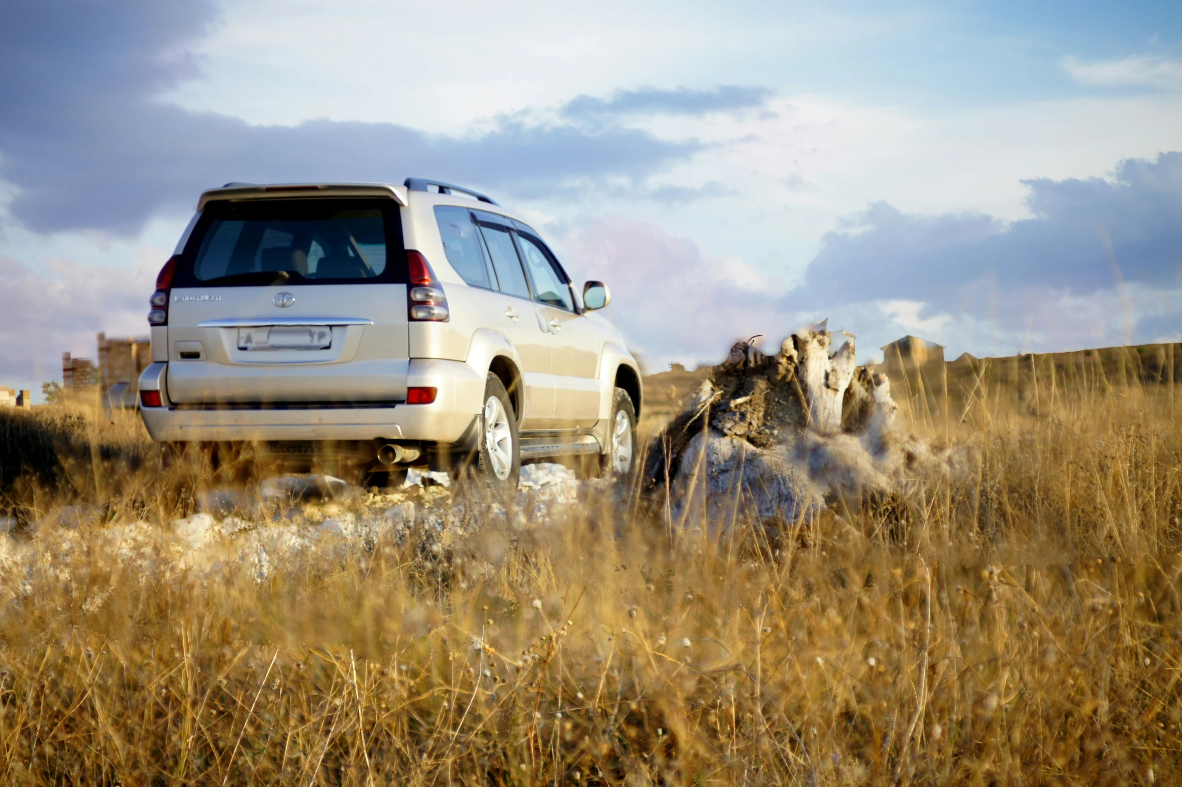 a white car sits parked in tall grass next to another car