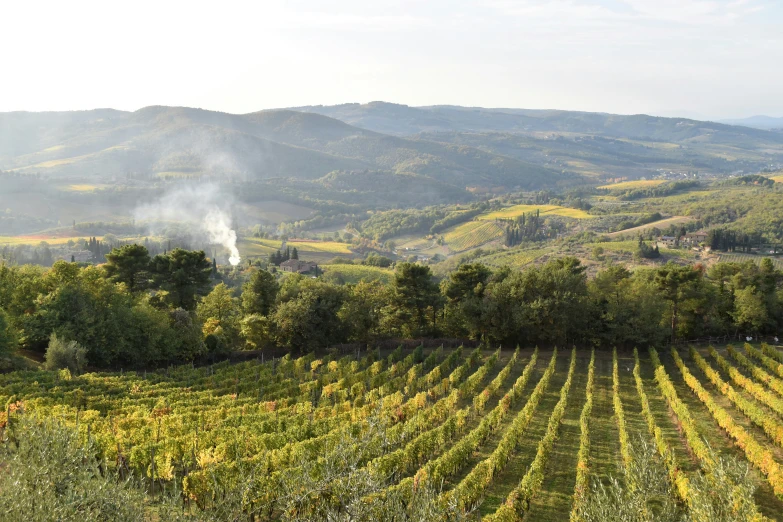 an outside scene with many crops and hills in the background