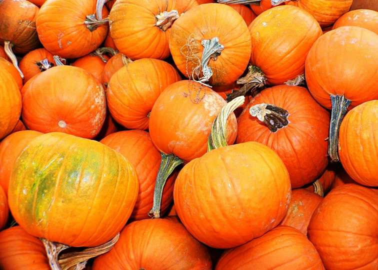 a pile of ripe pumpkins piled on top of each other