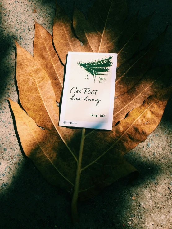 a note has been placed on a leaf