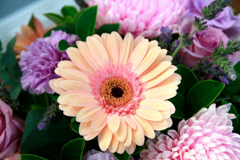 some pink and yellow flowers are shown in a bouquet