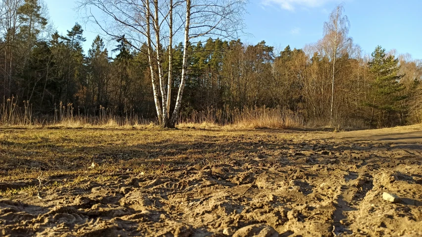 a red fire hydrant sitting in the middle of a dirt road