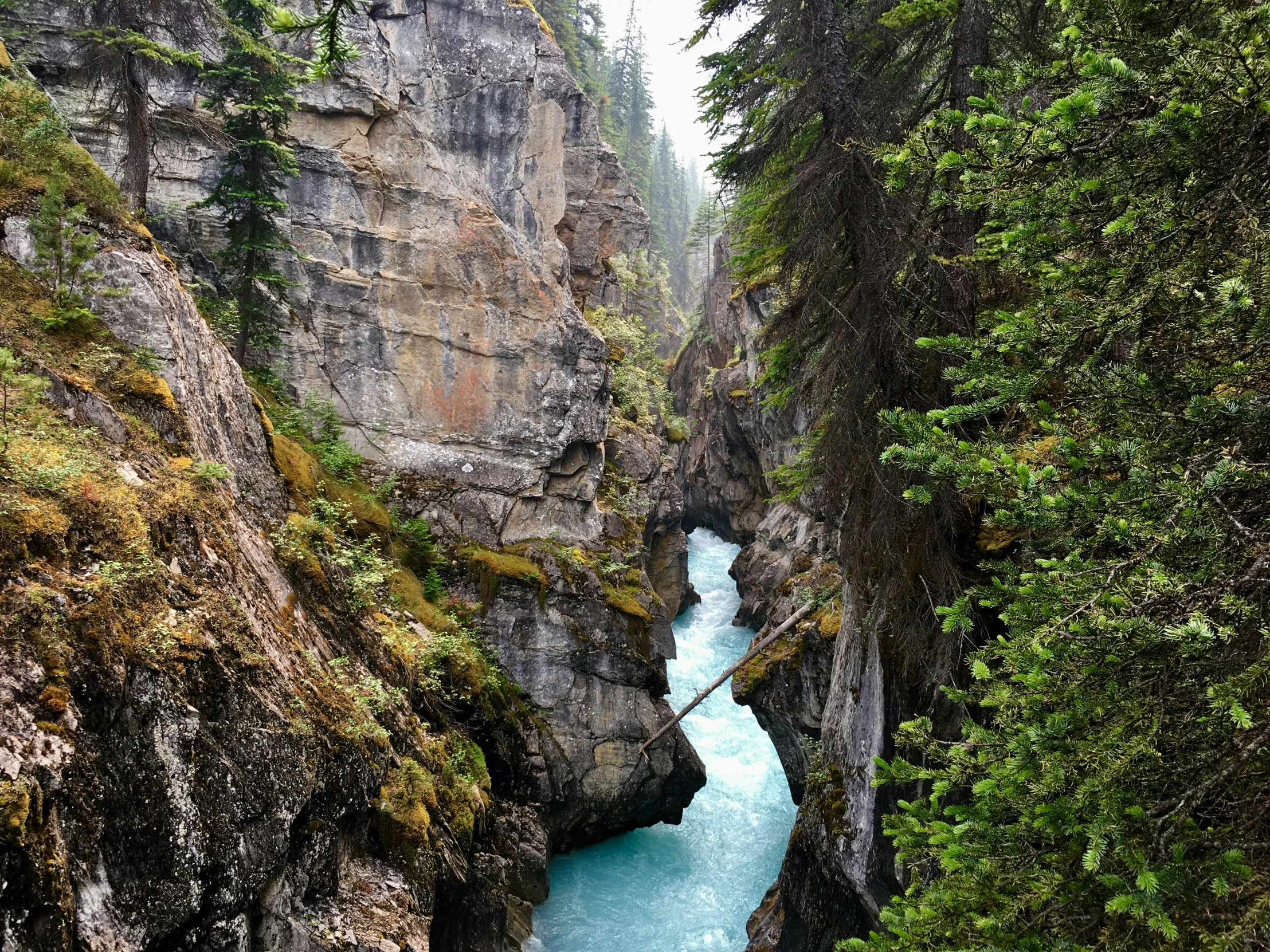 the view from a boat looking down on a river in a valley