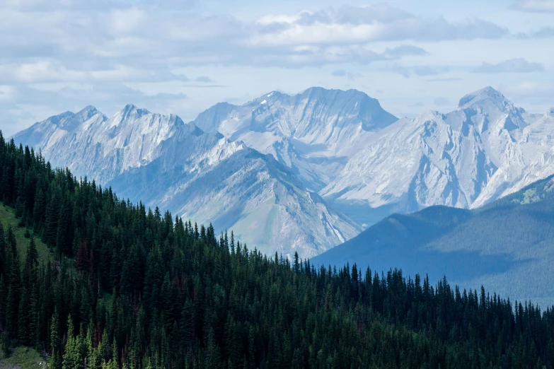 the mountain range in the canadian rockies are surrounded by pine and pine - covered trees