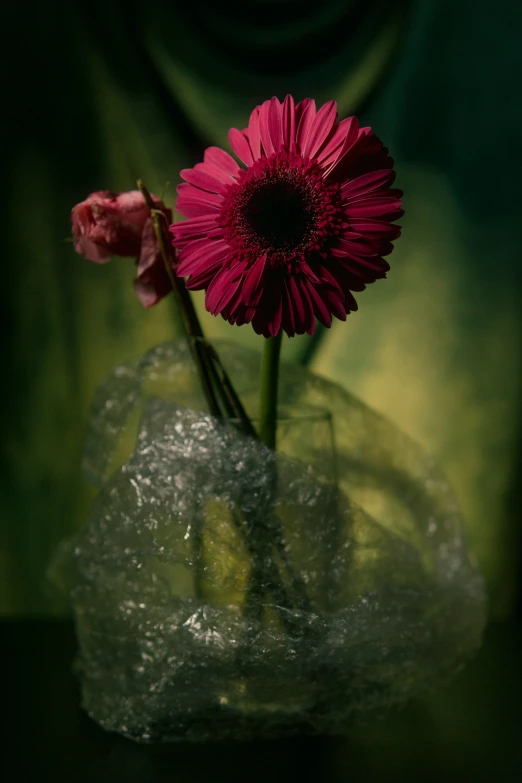 a pink flower is sitting in a vase on a table
