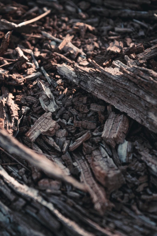 dark wood chips with a lot of other wood chips