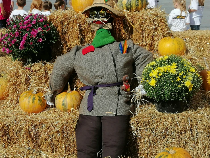 people dressed as characters in halloween costumes and hay bales