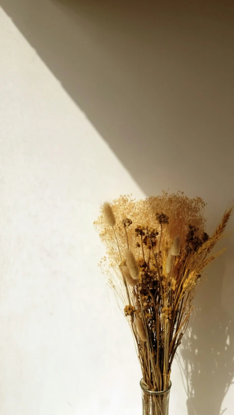 a clear glass vase with dried dried plants in it