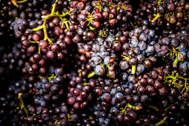 the wine is being prepared to be tasted