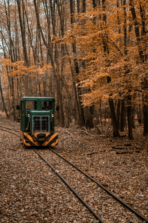 there is a train traveling in the woods on the tracks