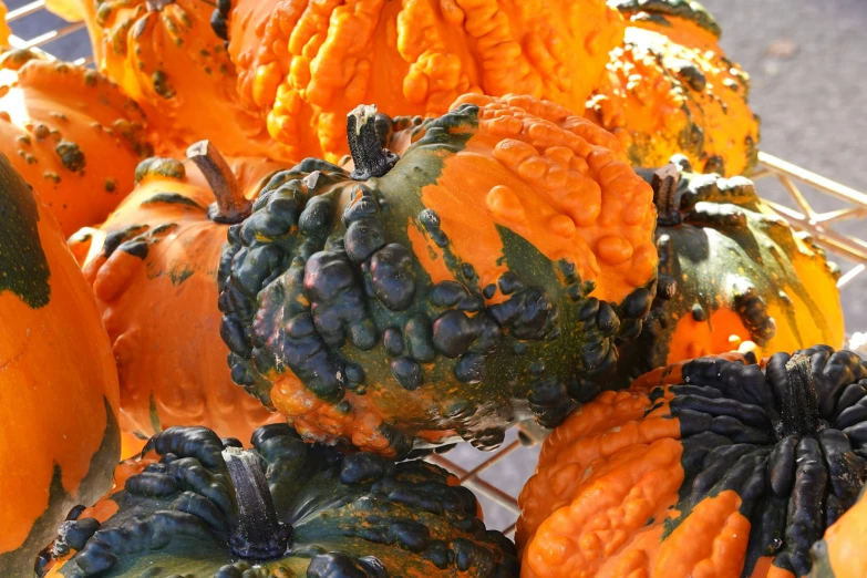 many gourds are covered with green, orange and yellow seeds