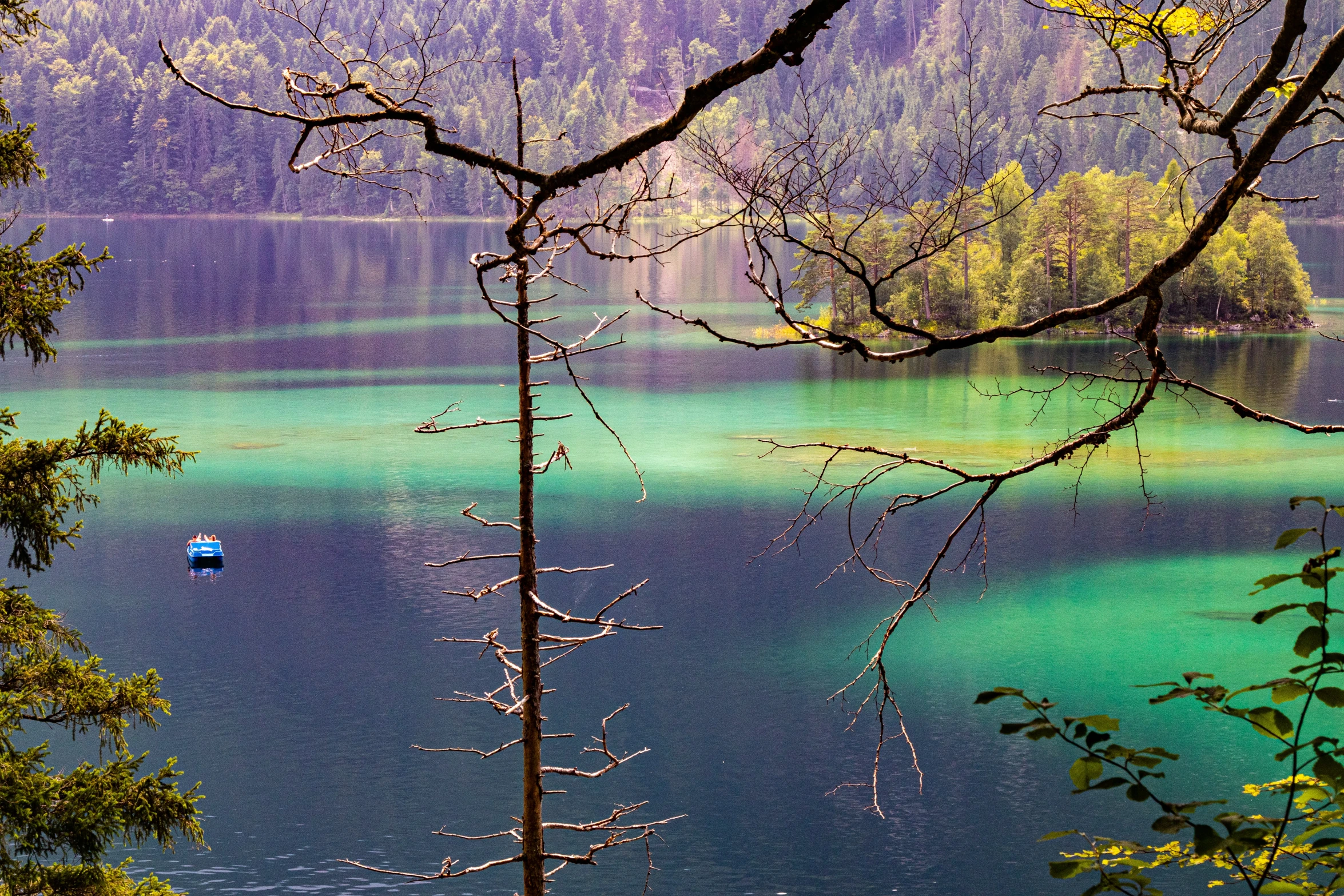 a boat floating on a body of water near some trees