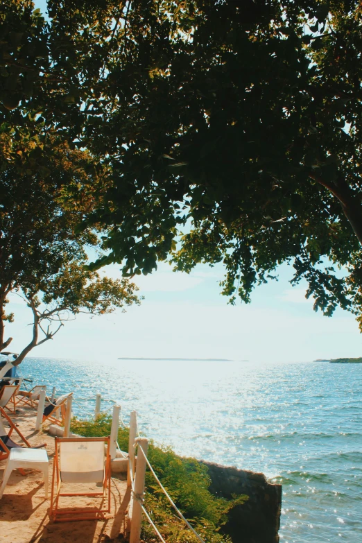 the sun shines through some trees on top of the grass and onto the water