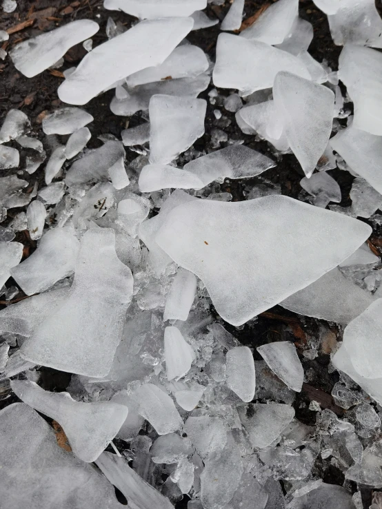 several pieces of glass lie on the ground