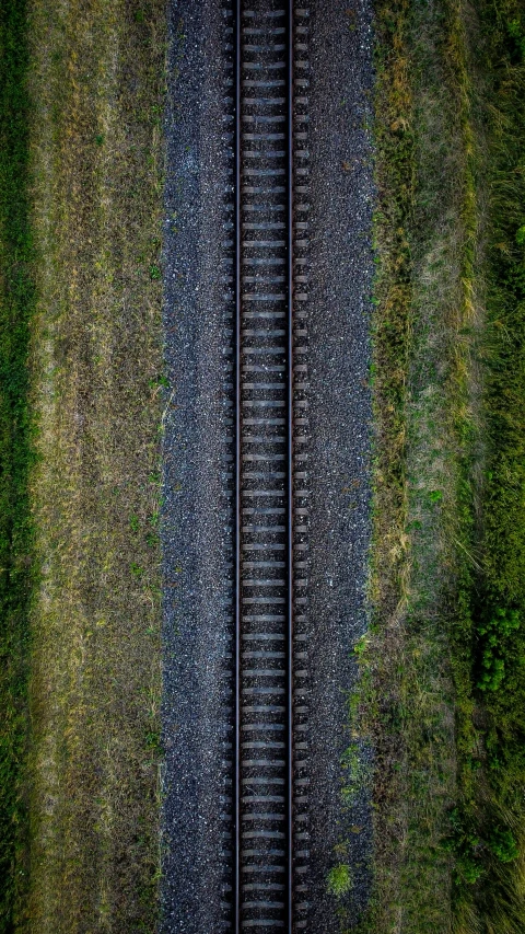 a train track running between two rows of trees