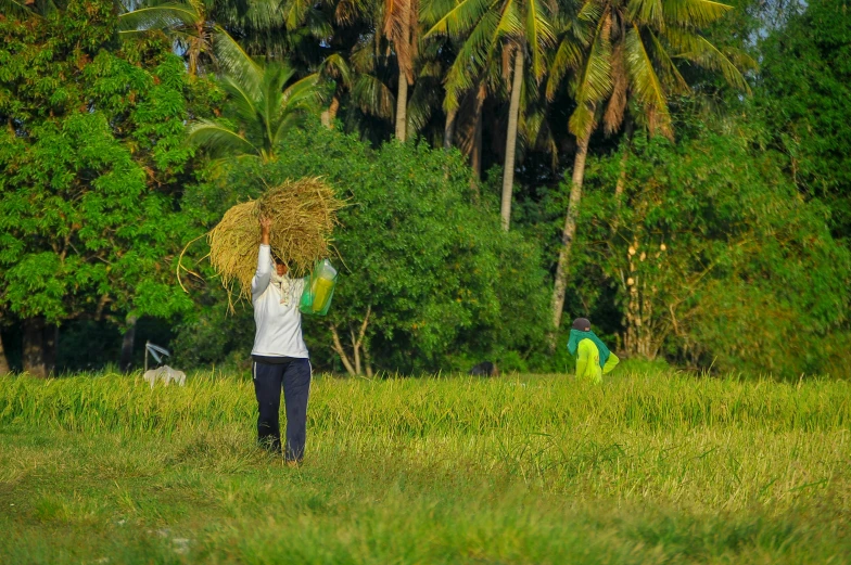 a man standing in the grass on top of a lush green field