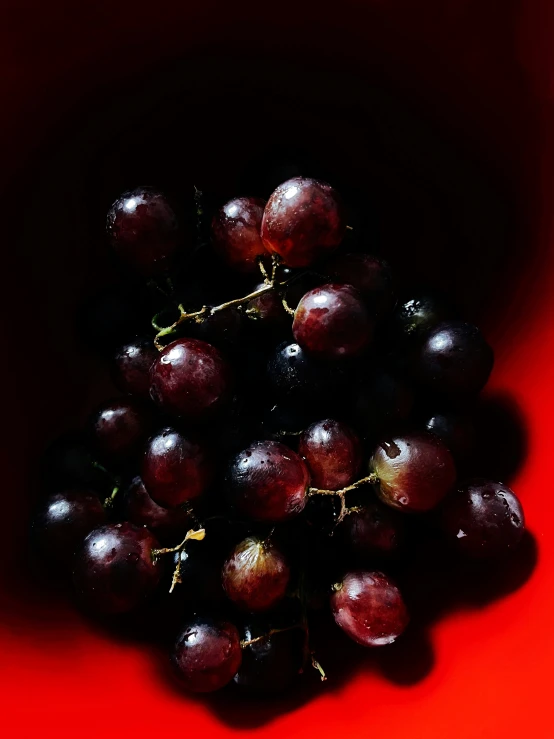 a red bowl with gs and stems sticking out of the top