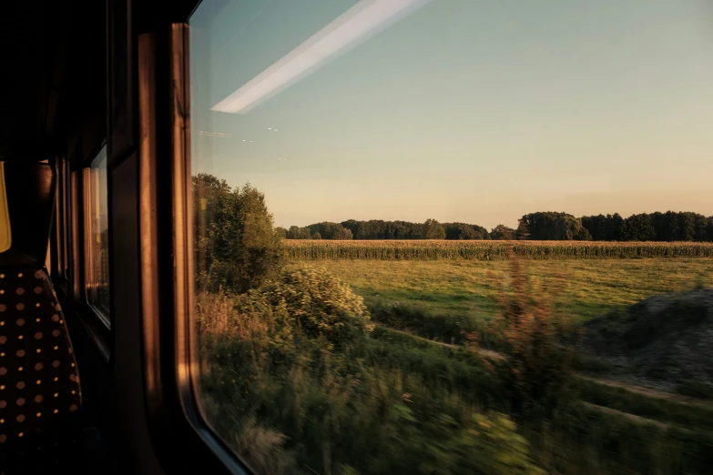 the view out the window on a train of a grassy area
