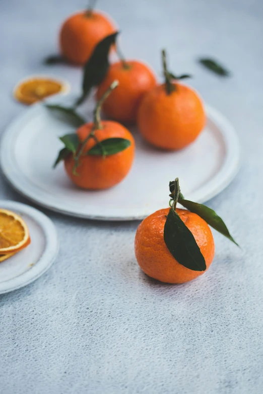 some oranges are on small plates and placed next to slices of another fruit