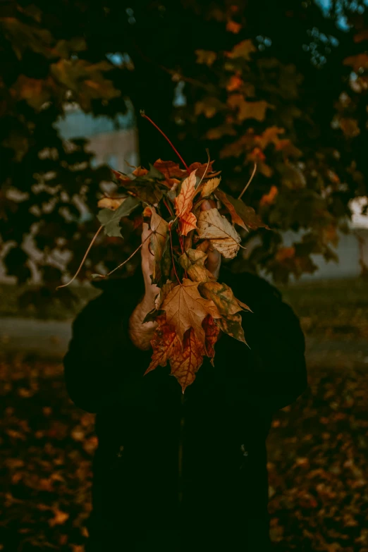 a woman wearing a wreath of autumn leaves