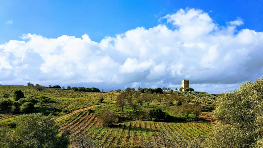 a big hill covered in lots of trees and a tower