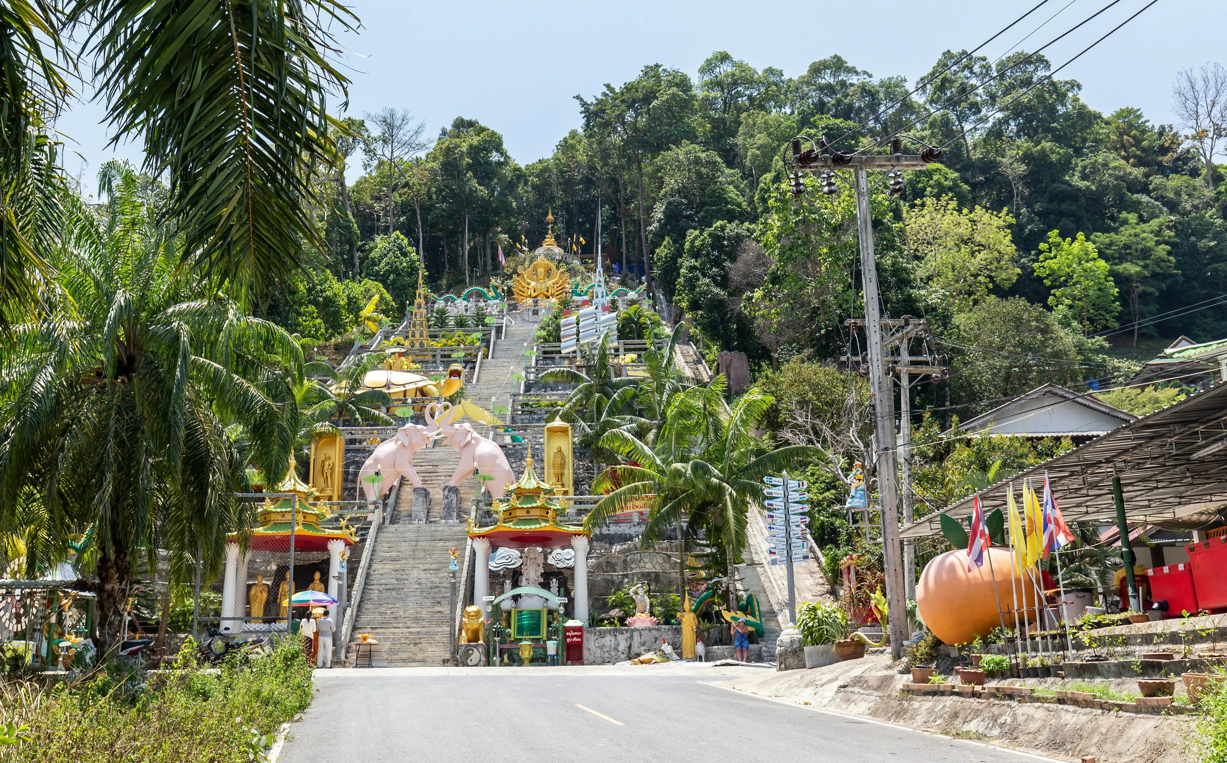 a mountain area with trees and buildings and stairs in it