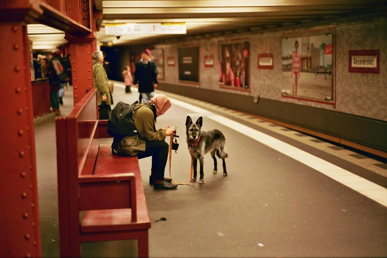 people are waiting for the subway to come in