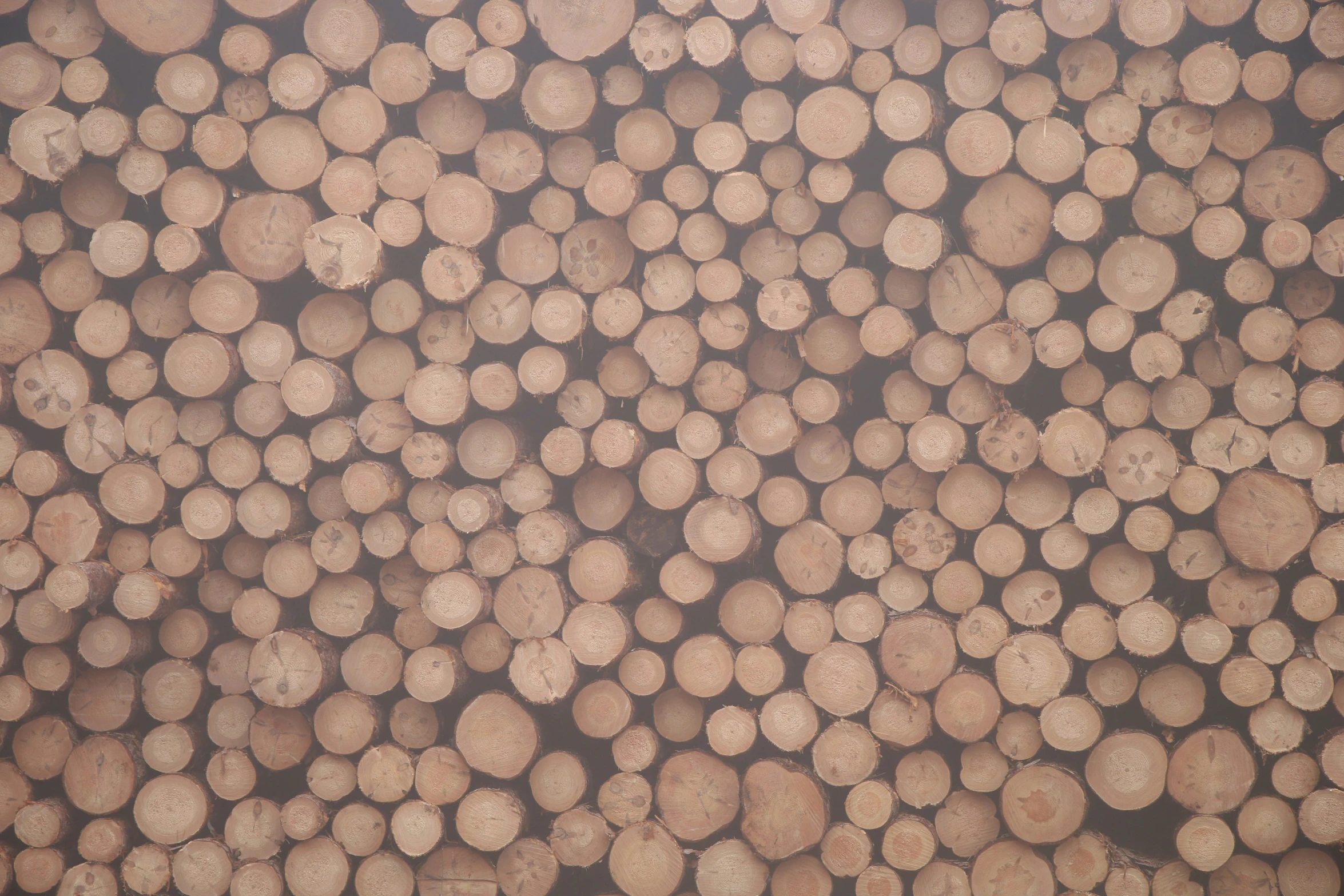 a background of wood sticks with one section cut off