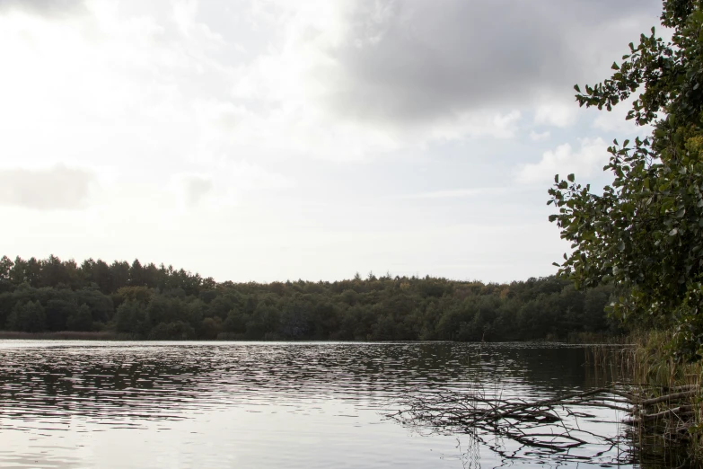 water surrounded by trees and sky in the distance