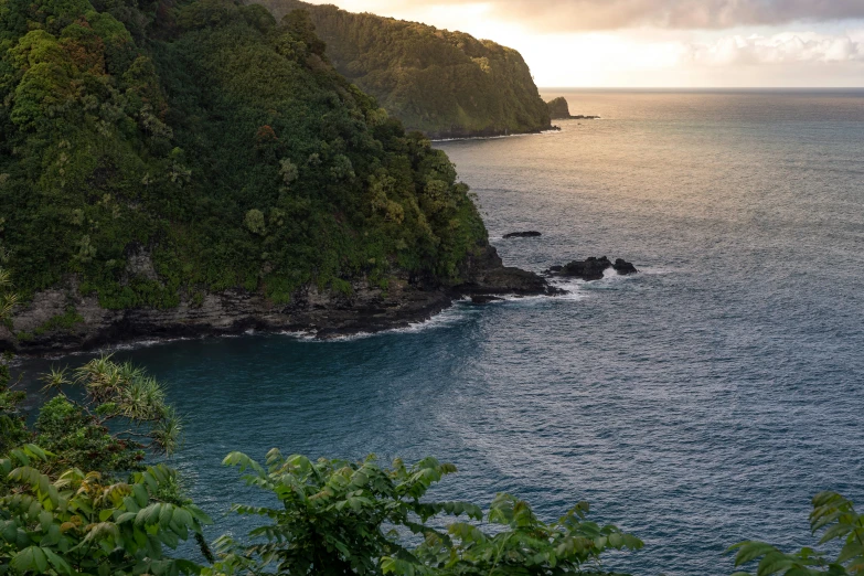 a cliff rising into the ocean with trees near by