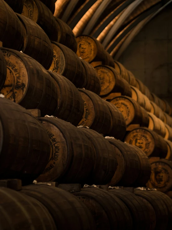 the barrel in the cellar is filled with old and worn wine