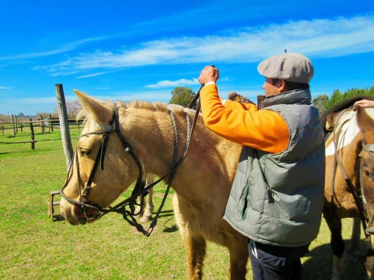 man standing with a brown horse in a field