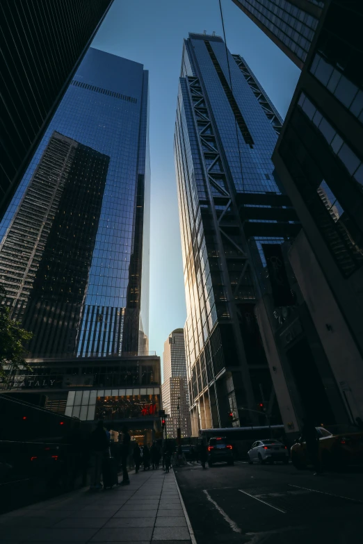 the street is lined with tall buildings