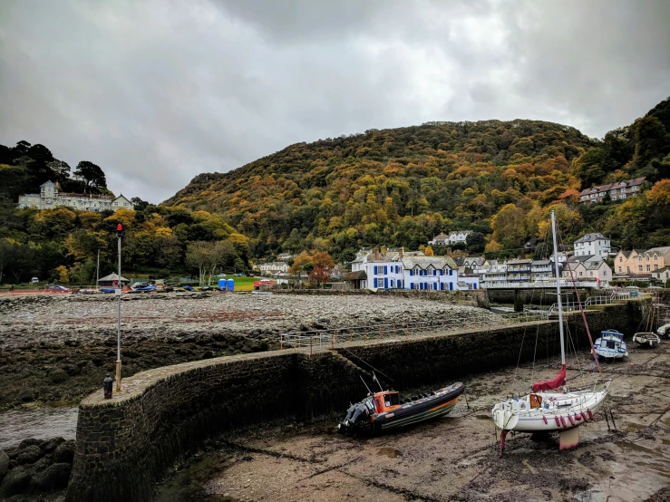 a group of boats in a harbor next to a hillside