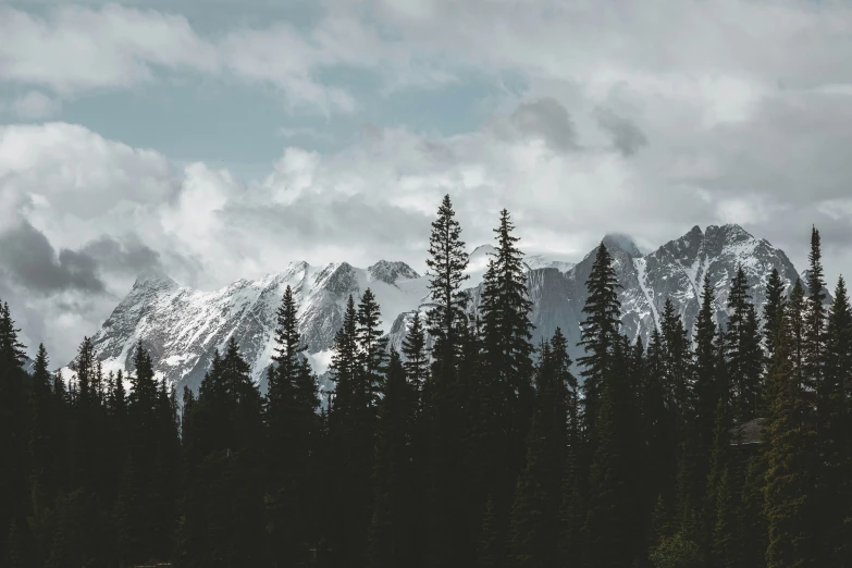 mountain range with trees and a cloudy sky