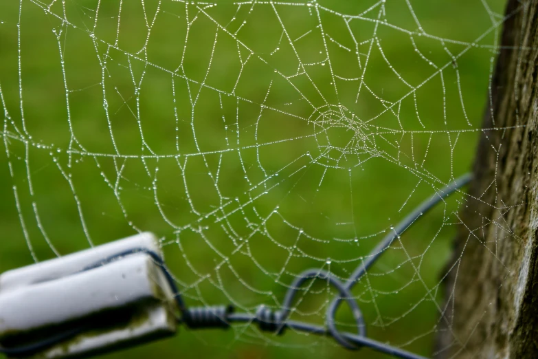 some kind of web with a small electric wire next to it