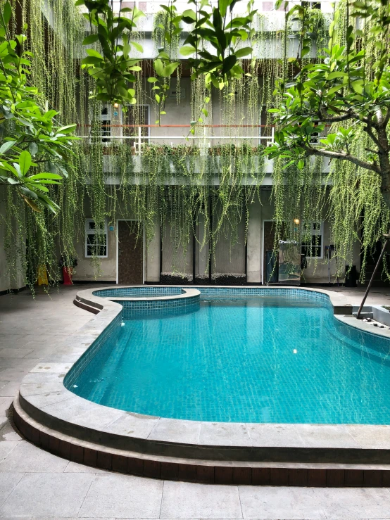 an empty pool surrounded by green foliage with staircase going up