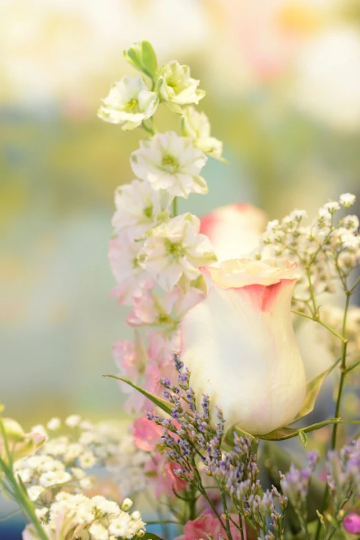 a closeup of flowers with other flowers in the background