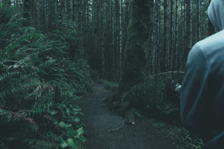 a person in hoodie walking through a dark forest