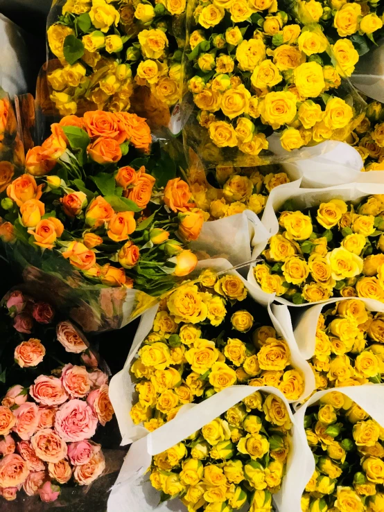 an array of flowers arranged next to each other