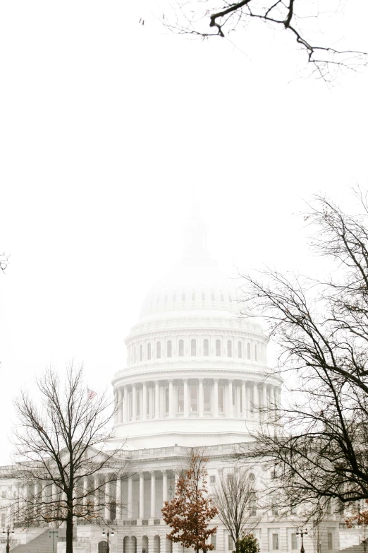 the capitol building viewed from across the street