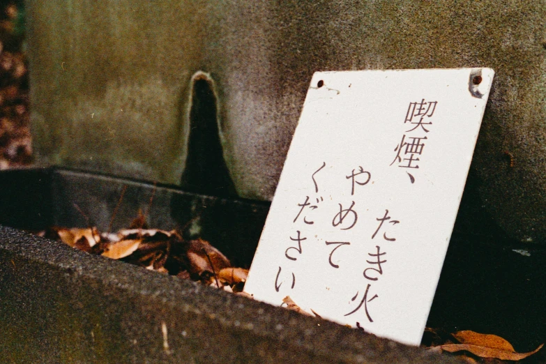 a sign laying in a planter near leaves
